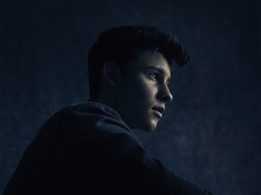 Shawn Mendes - A Star on the Rise