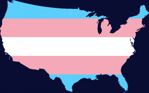 Transgender Pride Flag map of the United States of America