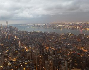 View from the top of the Empire State Building