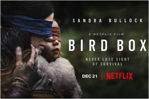 Following the release of the Netflix horror film BIRD BOX, starring Academy Award winner Sandra Bullock and an all-star cast, viewers engaged in a Blindfold Challenge, leading Netflix to issue a warning, asking fans to stop engaging in this dangerous act immediately.