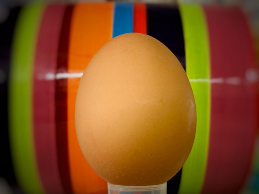 Photo of an egg, recently taken in Abington, similar to the one posted to Instagram