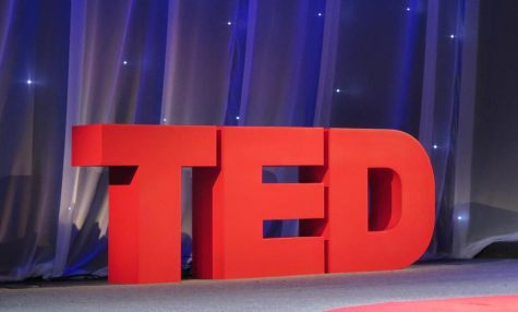 The TED stage logo is well-recognized by students and adults alike. This one was taken at a TED talk on 6 October 2016.