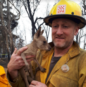 Brian Stearns, a Huron-Manistee National Forests employee, is pictured with a kangaroo joey who approached firefighters in the field seeking refuge from the Australian wildfires. The U.S. Forest Service fire crews are continuing to mobilize to assist during the Australian Bushfires Disaster.
Date: 8 January 2020
