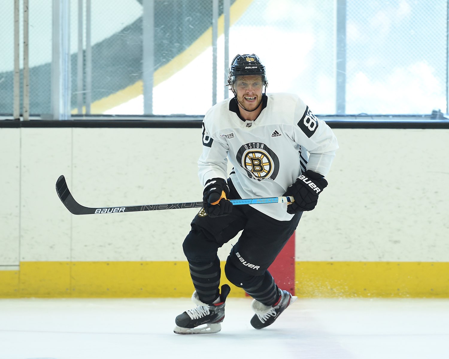 David Pastrnak's hat trick leads Bruins past Maple Leafs