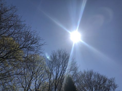The sun shines over budding trees on Thursday, April 23, 2020 in Abington, Massachusetts.